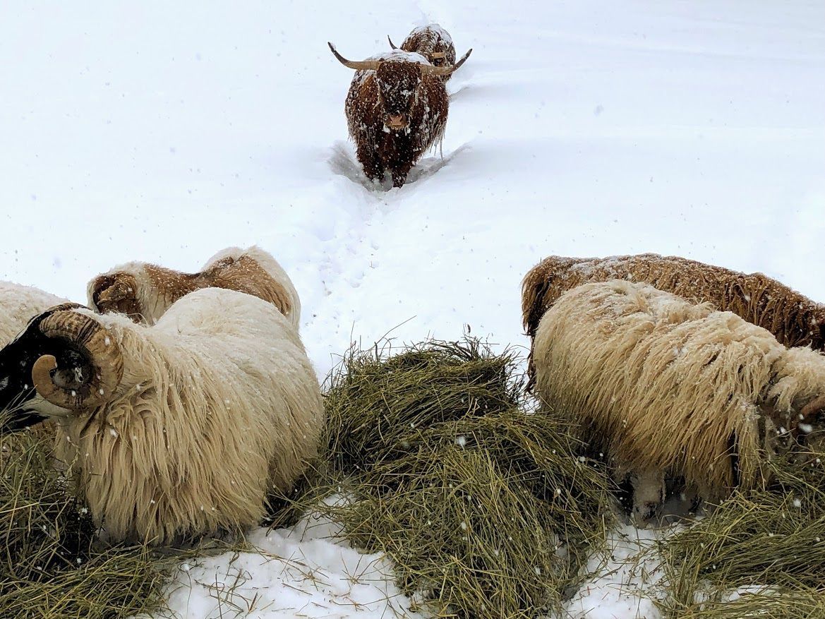Feb. 12: Jackson County farm